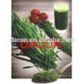 Wheatgrass Powder 270 mesh